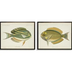 Acanthurus Fish Framed Art Prints, Set Of 2-Kirkland's Home Online