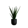Agave Arrangement In Black Decorative Pot-Kirkland's Home Store