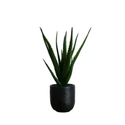 Agave Arrangement In Black Decorative Pot-Kirkland's Home Store