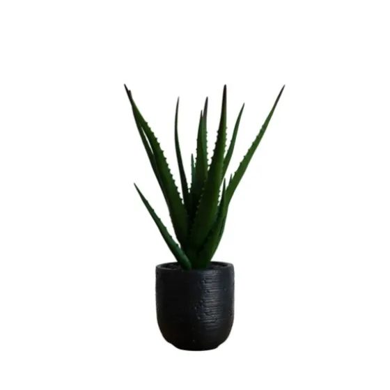 Agave Arrangement In Black Decorative Pot-Kirkland's Home Store