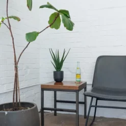 Agave Arrangement In Black Decorative Pot-Kirkland's Home Store