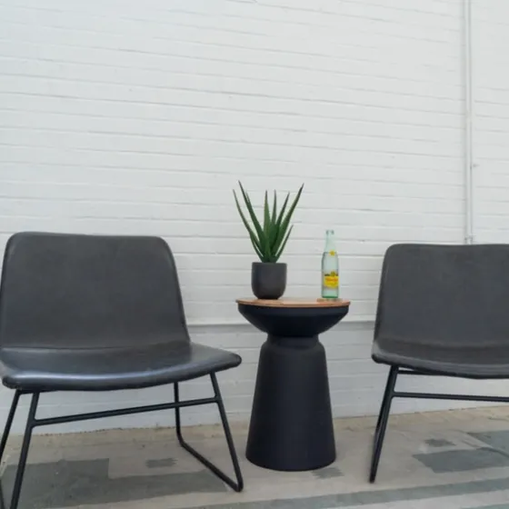 Agave Arrangement In Black Decorative Pot-Kirkland's Home Store