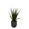 Agave Arrangement In Gray Decorative Pot-Kirkland's Home New