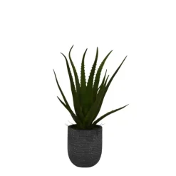Agave Arrangement In Gray Decorative Pot-Kirkland's Home New