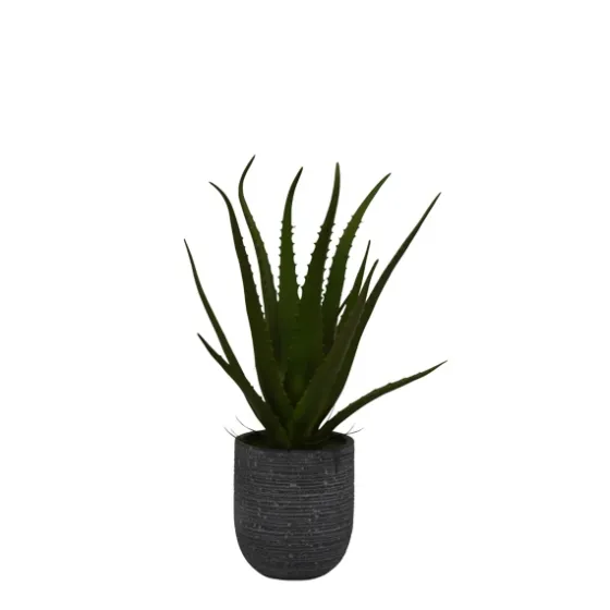 Agave Arrangement In Gray Decorative Pot-Kirkland's Home New