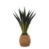 Agave Arrangement In Natural Woven Basket-Kirkland's Home Shop