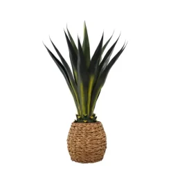 Agave Arrangement In Natural Woven Basket-Kirkland's Home Shop
