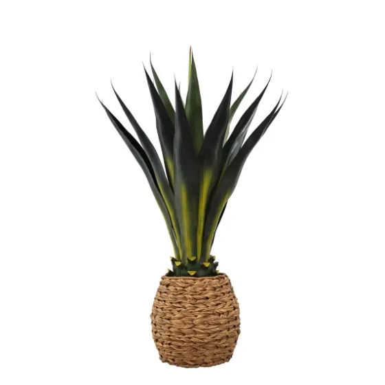 Agave Arrangement In Natural Woven Basket-Kirkland's Home Shop