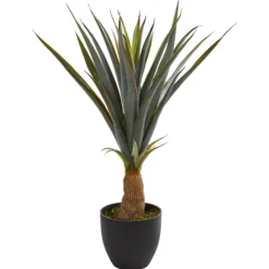 Agave In Planter, 30 In.-Kirkland's Home Sale