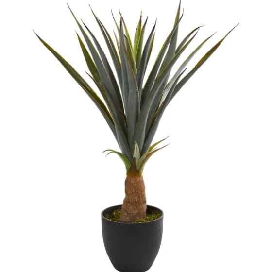 Agave In Planter, 30 In.-Kirkland's Home Sale