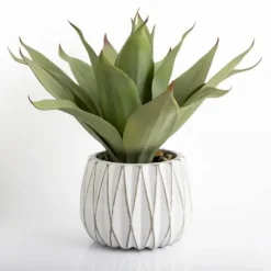 Agave Succulent In White Pot-Kirkland's Home Clearance