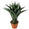 Agave Succulent Plant In Terracotta Planter-Kirkland's Home Flash Sale