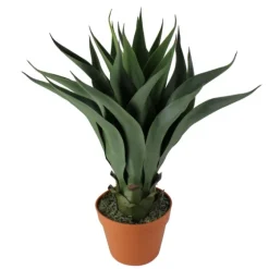 Agave Succulent Plant In Terracotta Planter-Kirkland's Home Flash Sale