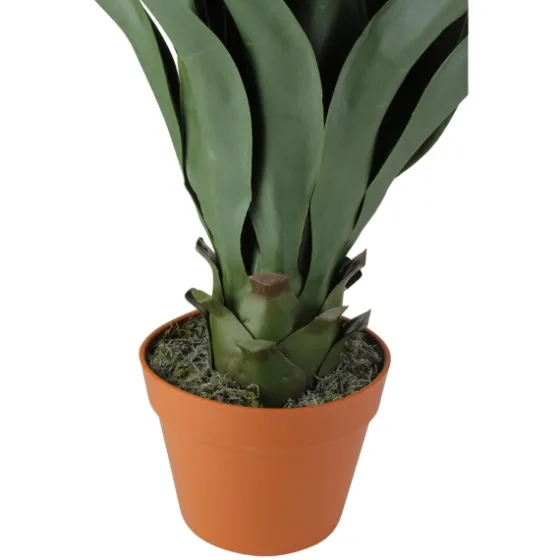 Agave Succulent Plant In Terracotta Planter-Kirkland's Home Flash Sale