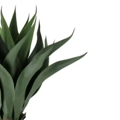 Agave Succulent Plant In Terracotta Planter-Kirkland's Home Flash Sale