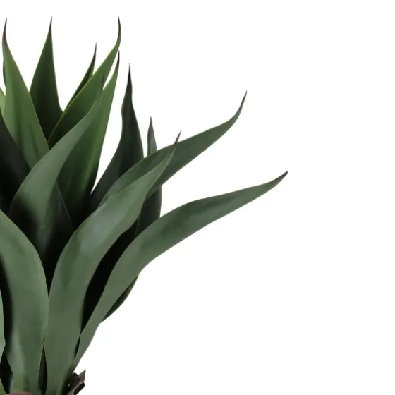 Agave Succulent Plant In Terracotta Planter-Kirkland's Home Flash Sale