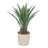 Aloe Barbadensis In Pebble Planter-Kirkland's Home Store