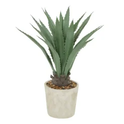 Aloe Barbadensis In Pebble Planter-Kirkland's Home Store