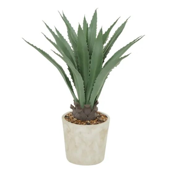 Aloe Barbadensis In Pebble Planter-Kirkland's Home Store