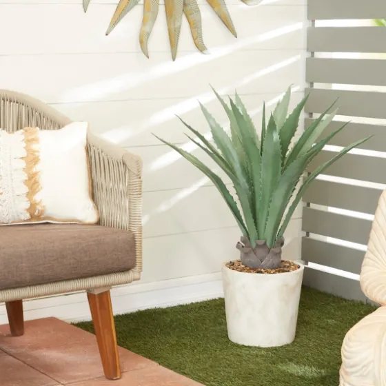 Aloe Barbadensis In Pebble Planter-Kirkland's Home Store