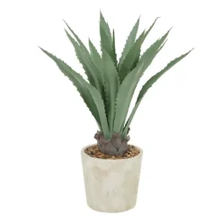 Aloe Barbadensis In Pebble Planter-Kirkland's Home Store