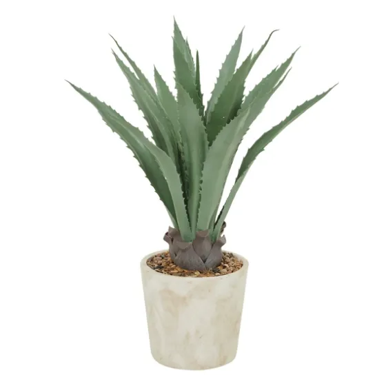 Aloe Barbadensis In Pebble Planter-Kirkland's Home Store
