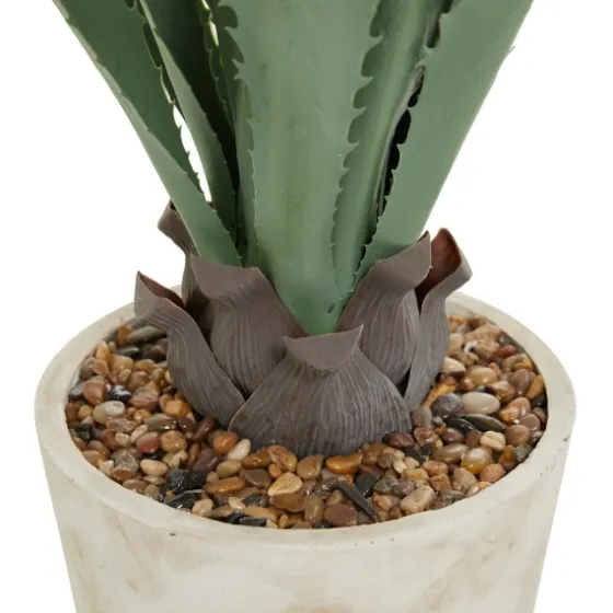Aloe Barbadensis In Pebble Planter-Kirkland's Home Store