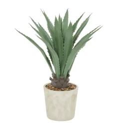 Aloe Barbadensis In Pebble Planter-Kirkland's Home Store
