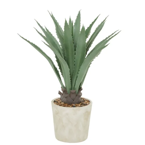 Aloe Barbadensis In Pebble Planter-Kirkland's Home Store