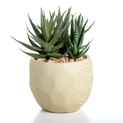 Aloe Succulent Arrangement In Natural Pot-Kirkland's Home Sale