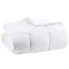 Antimicrobial Down Alternative Queen Comforter-Kirkland's Home Clearance