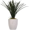 Areca Grass In Mossy White Planter-Kirkland's Home Flash Sale