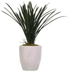 Areca Grass In Mossy White Planter-Kirkland's Home Flash Sale