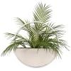 Areca Palm In Round Sonce Planter-Kirkland's Home New