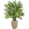 Areca Palm Tree In Sandy Planter-Kirkland's Home Fashion