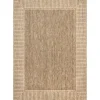 Asia Stripe Border Outdoor Rug, 8X10-Kirkland's Home Flash Sale
