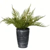 Asparagus Fern In Tall Black Planter-Kirkland's Home Best Sale