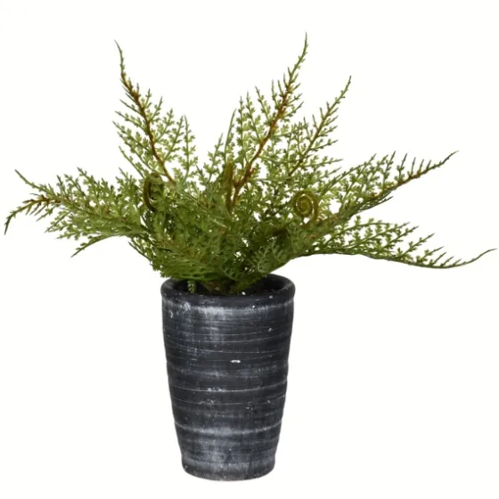 Asparagus Fern In Tall Black Planter-Kirkland's Home Best Sale