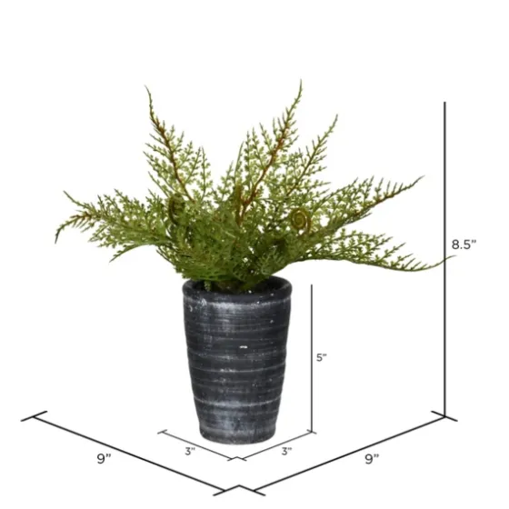 Asparagus Fern In Tall Black Planter-Kirkland's Home Best Sale
