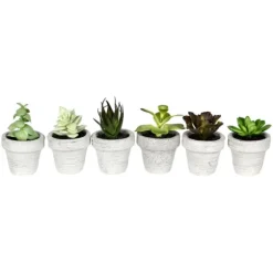 Assorted Potted Succulent Arrangements, Set Of 6-Kirkland's Home Best Sale