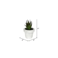 Assorted Potted Succulent Arrangements, Set Of 6-Kirkland's Home Best Sale