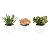 Assorted Succulents In White Planters, Set Of 3-Kirkland's Home Cheap