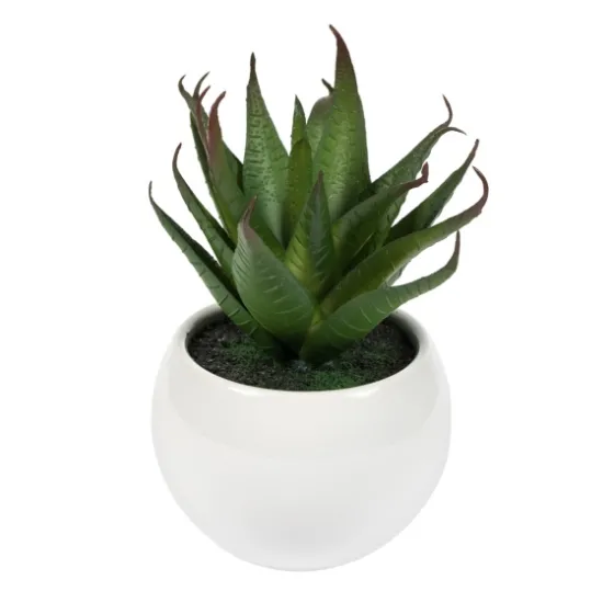 Assorted Succulents In White Planters, Set Of 3-Kirkland's Home Cheap