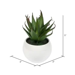 Assorted Succulents In White Planters, Set Of 3-Kirkland's Home Cheap