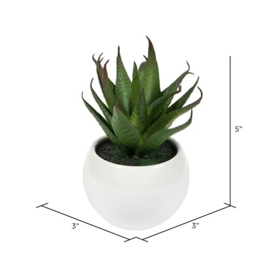 Assorted Succulents In White Planters, Set Of 3-Kirkland's Home Cheap
