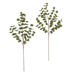 Autumn Eucalyptus Stems, Set Of 2-Kirkland's Home Best Sale