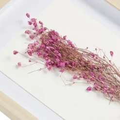 Avant Garden Dried Flowers Shadowboxes, Set Of 2-Kirkland's Home Flash Sale