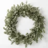 Baby Spiral Eucalyptus Wreath-Kirkland's Home New