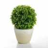 Ball Boxwood Topiary In Cement Planter-Kirkland's Home Flash Sale