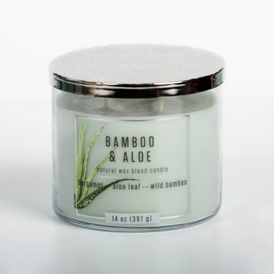 Bamboo Aloe 14 Oz. Triple Wick Jar Candle-Kirkland's Home Best